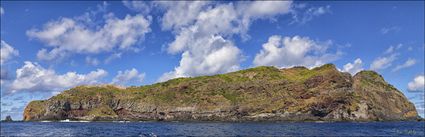 Nepean Island - Norfolk Island - NSW (PBH4 00 12370)